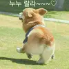 jongwooklim4 - @jongwooklim4 - TikTok