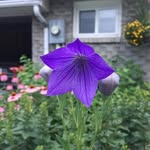 Wook Soo Suh - @wooksoosuh - Instagram