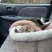 Woolf Barnato - Facebook