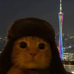Chee Wing - @woon_chee08 - Instagram