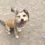 Rocko Woon-Chen - @rockothechamp - Instagram