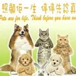 W Woon  Cheng - @wwooncheng - Instagram