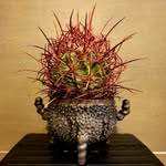 Woon Cheng - @woon422513 - Instagram