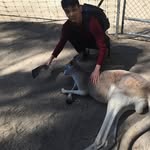 woon kang - @woon_kang89 - Instagram