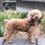Woosung LEE - @chno_81042 - Instagram