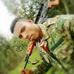 Worku Negash - Facebook