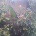 Worku Negash - Facebook