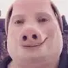 johnsonporkworth - @johnsonporkworth - TikTok