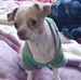 Blommie Wouter - Facebook