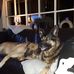 Wouter Blom - Facebook