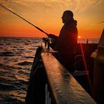 Wouter Blomme - @wouterblomme123 - Instagram