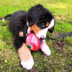 Wouter Jansen - @_wouter_jansen_ - Instagram