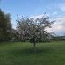 Wouter Reinders - Facebook