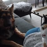 Wouter Reinders - @simplyy1kes - Instagram
