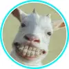 Meme god of tiktok - @wowlols - TikTok