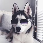 Wren King - @mighty.king.wren - Instagram