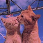 WU_Qiang - @wu_qiang6730 - Instagram