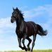 Wu Qiang - Facebook