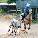 Wyatt Allen - @wyattallen02 - Instagram