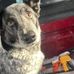Wyatt Bauer - Facebook