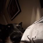 Wyatt Beaver - Facebook