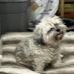 Wyatt Boyd - Facebook