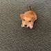 Wyatt Buchanan - Facebook