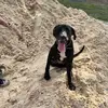 wyatt_buchanan - @wyatt_buchanan - TikTok