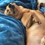 Wyatt Byrd - Facebook