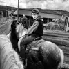 Wyatt Carr890 - @wyattcarr7 - TikTok