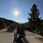 Wyatt - @wyatt.carrney - Instagram