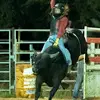 wyattcarr - @wyattcarr07 - TikTok