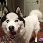 Wyatt Carson - @imwywyandiknowit - Instagram