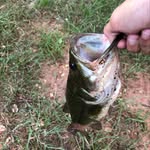 Wyatt,Carson,Eli - @bass__.kickers - Instagram