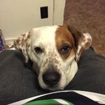 Wyatt Case - @wyattcase2008 - Instagram