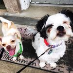 WyattTheRiotandCasper - @wyattandcasper - Instagram