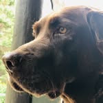 Wyatt Chambers - @wyatt_chambers600 - Instagram