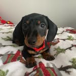 Wyatt Chambers - @wyattchambers99 - Instagram
