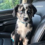 Wyatt Clement - Facebook