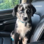 Wyatt Clement - @wyatt.clement - Instagram