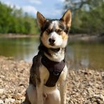 Wyatt Clement - Facebook