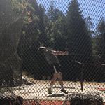 Wyatt Conner - @wyattc99 - Instagram