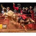Wyatt Covington - Facebook