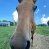 wyatt_cunningham0 - @wyatt_cunningham0 - TikTok