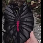 wyatt day - @wyattkennedyday - Instagram