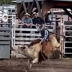 Wyatt Dejong - @wyatt_dejong_123 - Instagram
