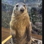 Wyatt Dillon - @wyattdillon62 - Instagram