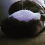 Wyatt Doty - @wyatt_a_f_doty - Instagram
