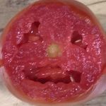 Wyatt Downs - @inwahtermelonsugarr - Instagram