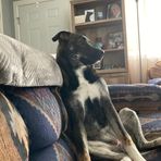 Wyatt Downs - Facebook